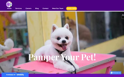 thepurplefurball.weebly.com snapshot
