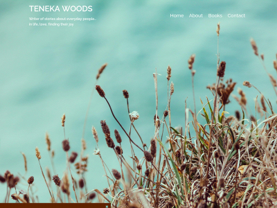 tenekawoods.com snapshot