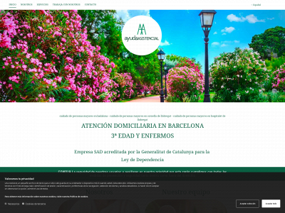ayudaasistencial.com snapshot