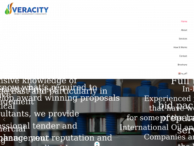 veracityconsults.com snapshot
