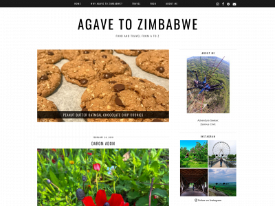 agavetozimbabwe.com snapshot