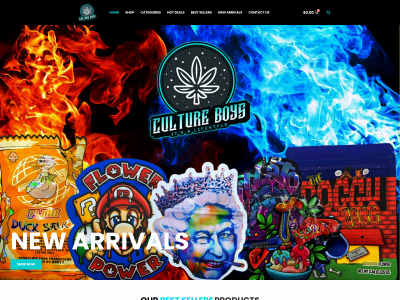 cultureboyz.com snapshot