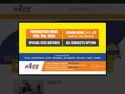 paceinstitute.in snapshot