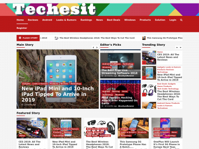 www.techesit.com snapshot