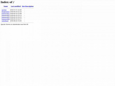 clairelecker.com snapshot