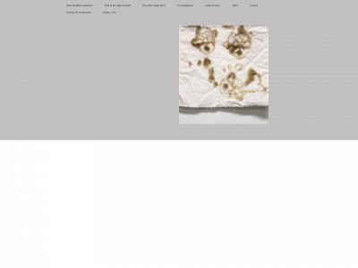 whitneyjohnson-lessard.com snapshot