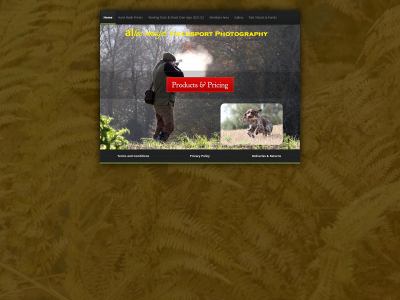 alfeeimages.co.uk snapshot