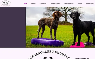 lyckoangelnshundhalsa.se snapshot