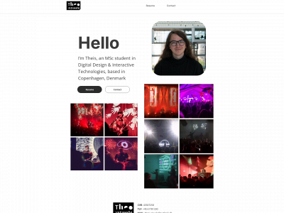 theisitu.dk snapshot