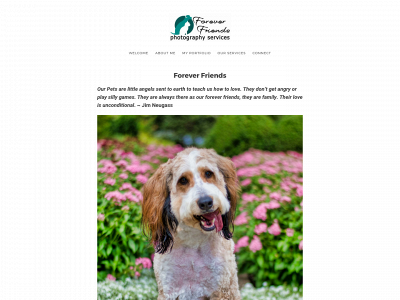 foreverfriends2me.com snapshot
