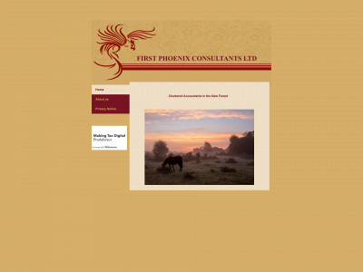 firstphoenixconsultants.co.uk snapshot