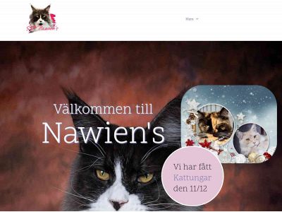 nawiens.one snapshot