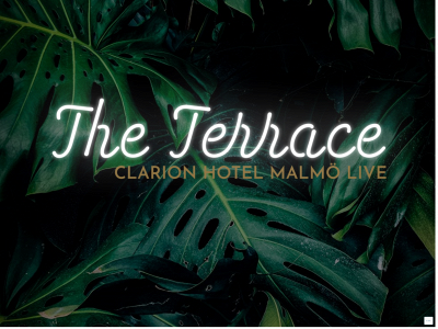 theterrace.se snapshot