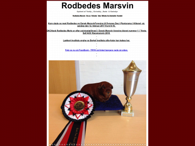 rodbede.dk snapshot