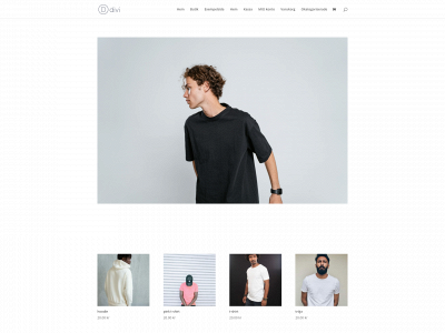 briely.se snapshot