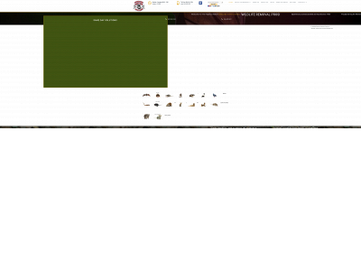 wildliferemovalcontrolservice.com snapshot