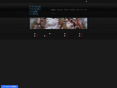 ktfotografija.weebly.com snapshot