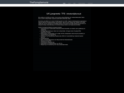 theflyingsamurai.com snapshot