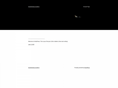 brandstrategy.academy snapshot