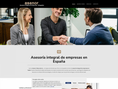asenor.es snapshot