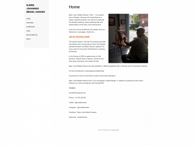 meidelhansen.com snapshot