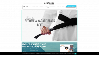 shotokankarateonline.com snapshot