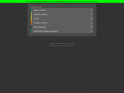 nyhighclassmodels.com snapshot