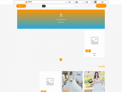 assiler.com snapshot