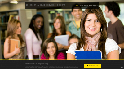 studieadviestillegem.be snapshot