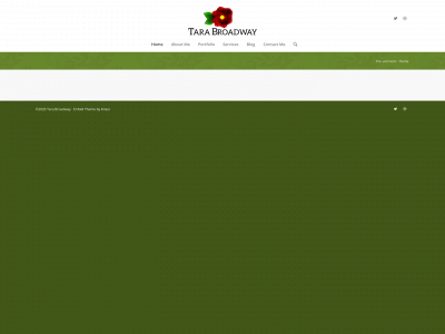 tarabroadway.com snapshot