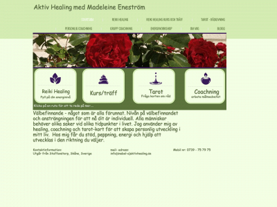 aktivhealing.se snapshot