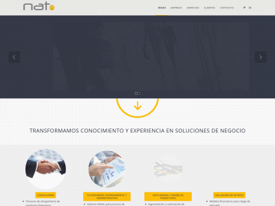 natconsultores.com.ar snapshot
