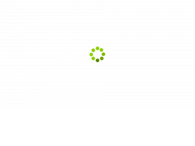 bioforcegreenenergy.com snapshot