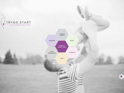 tryggstart.com snapshot