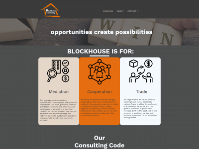 blockhouse.consulting snapshot