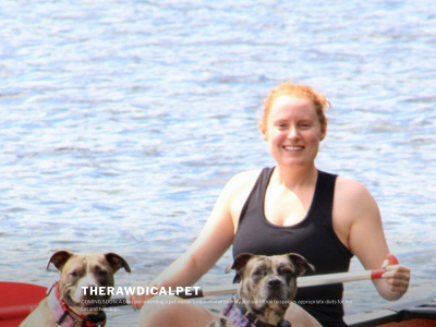 therawdicalpet.com snapshot