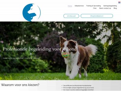 pawsitivebalance.nl snapshot