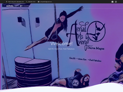 aerialartsbyavery.com snapshot