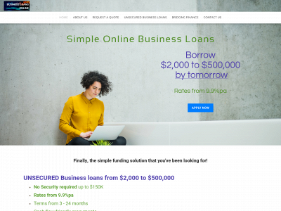 www.businessloans.digital snapshot