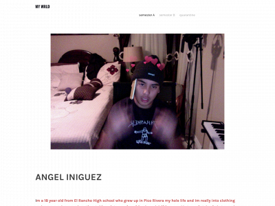 angeliniguezpics.weebly.com snapshot