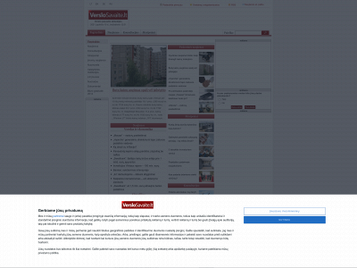 verslosavaite.lt snapshot