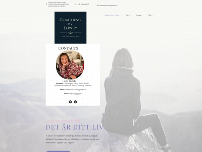 lowrygroup.se snapshot