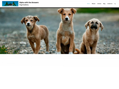 alphawiththeanswers.com snapshot