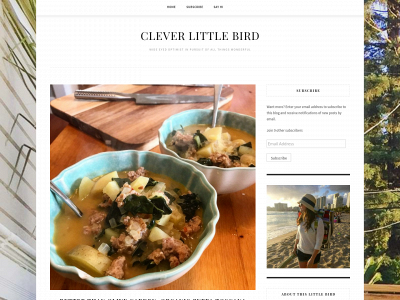 cleverlittlebird.com snapshot