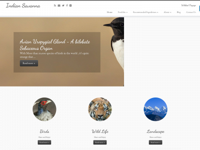 birdersglamp.com snapshot