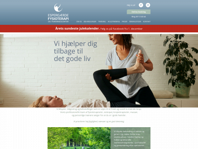 efys.dk snapshot
