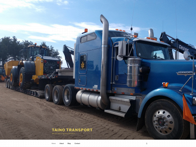 tainotransport.net snapshot