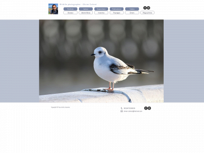 olivier-colinet.be snapshot