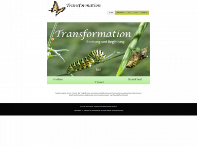 transformation-matrix.com snapshot
