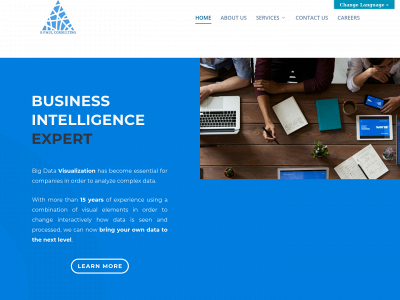 spaulconsulting.com snapshot